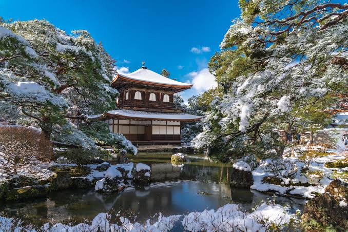Japan Cherry Blossom